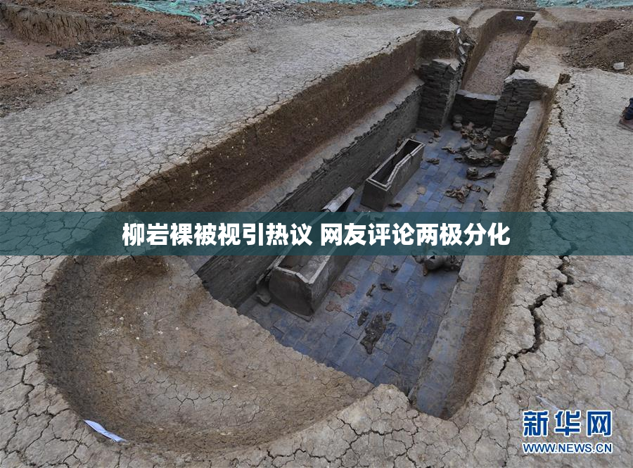 柳岩裸被视引热议 网友评论两极分化