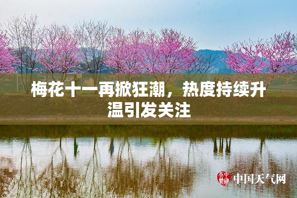 梅花十一再掀狂潮，热度持续升温引发关注