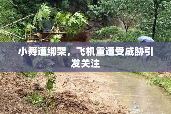小舞遭绑架，飞机重遭受威胁引发关注