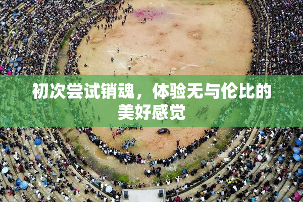 初次尝试销魂，体验无与伦比的美好感觉