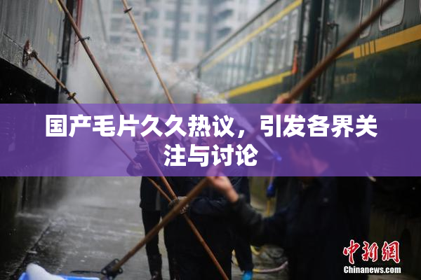 国产毛片久久热议，引发各界关注与讨论