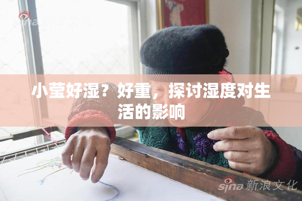 小莹好湿？好重，探讨湿度对生活的影响