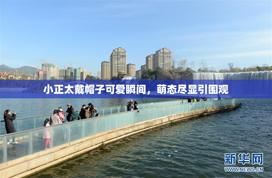 小正太戴帽子可爱瞬间，萌态尽显引围观