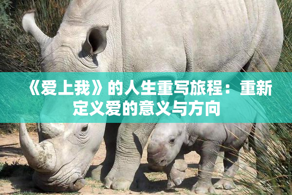 《爱上我》的人生重写旅程：重新定义爱的意义与方向