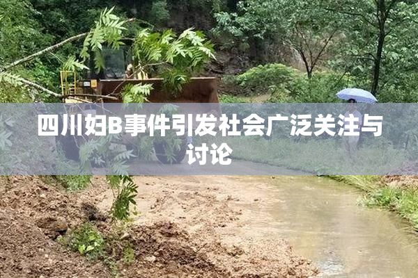 四川妇B事件引发社会广泛关注与讨论