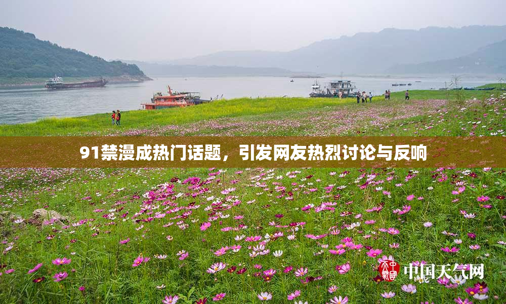 91禁漫成热门话题，引发网友热烈讨论与反响