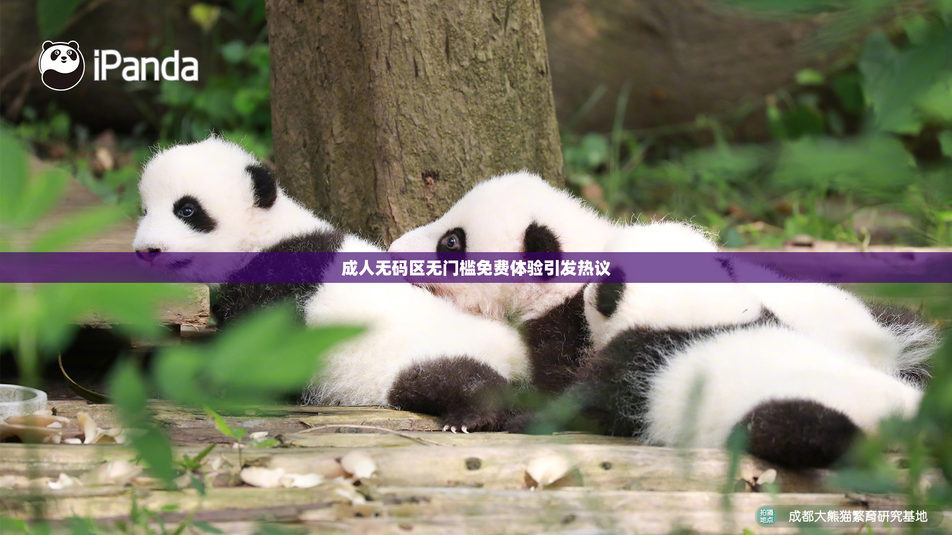 成人无码区无门槛免费体验引发热议
