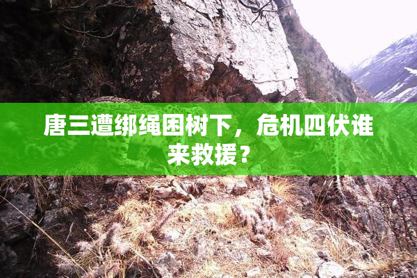 唐三遭绑绳困树下，危机四伏谁来救援？