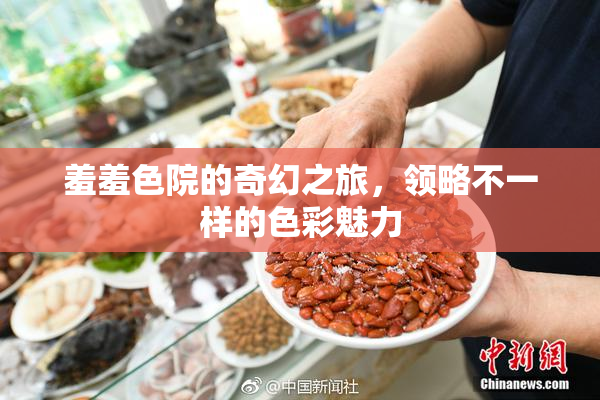 羞羞色院的奇幻之旅，领略不一样的色彩魅力