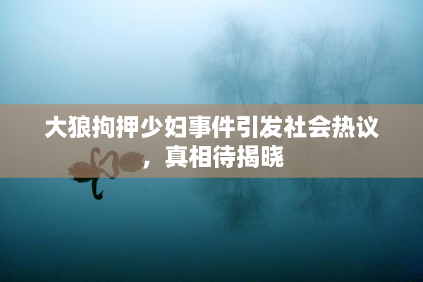 大狼拘押少妇事件引发社会热议，真相待揭晓