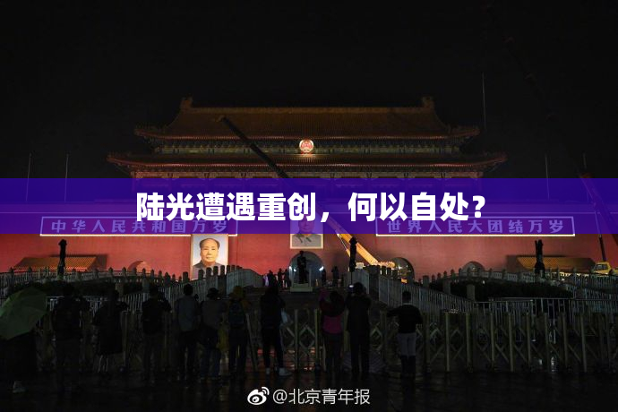 陆光遭遇重创，何以自处？