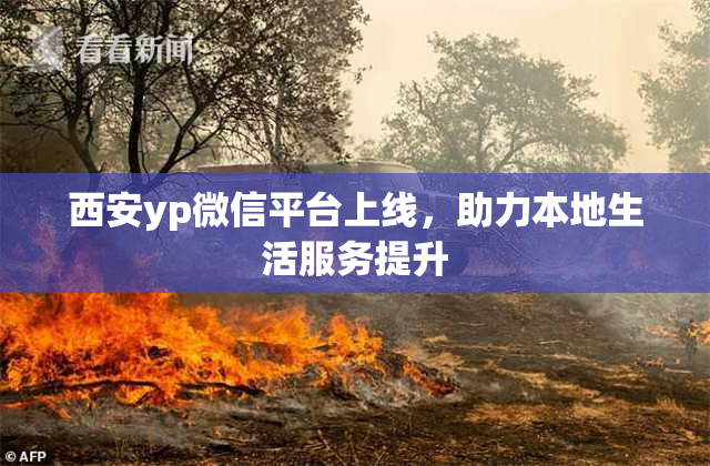 西安yp微信平台上线，助力本地生活服务提升