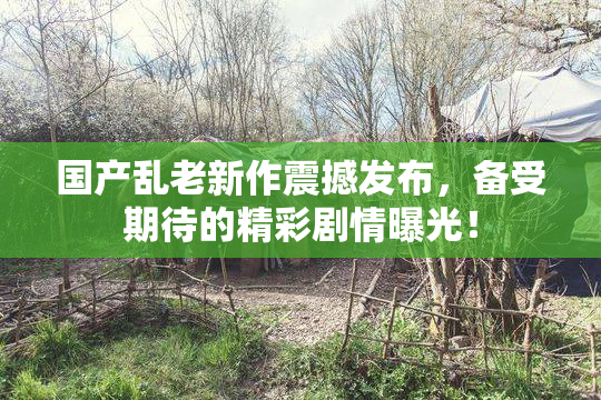 国产乱老新作震撼发布，备受期待的精彩剧情曝光！