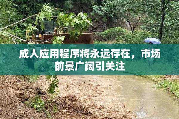 成人应用程序将永远存在，市场前景广阔引关注