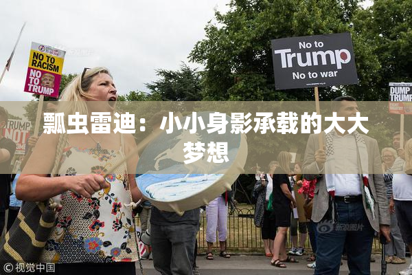 瓢虫雷迪：小小身影承载的大大梦想