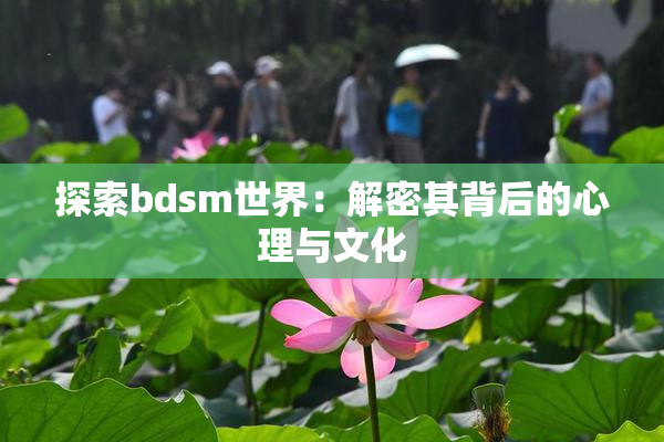 探索bdsm世界：解密其背后的心理与文化