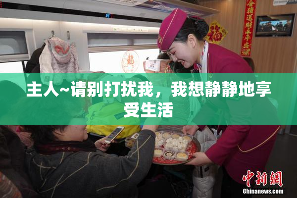 主人~请别打扰我，我想静静地享受生活