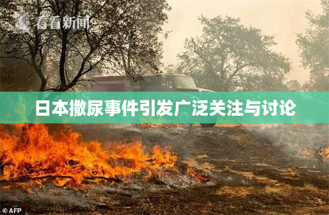 日本撒尿事件引发广泛关注与讨论