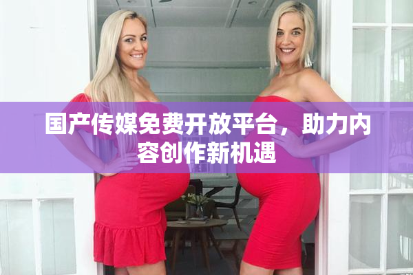 国产传媒免费开放平台，助力内容创作新机遇