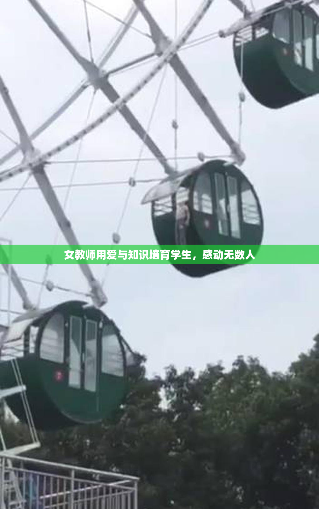 女教师用爱与知识培育学生，感动无数人