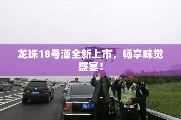 龙珠18号酒全新上市，畅享味觉盛宴！