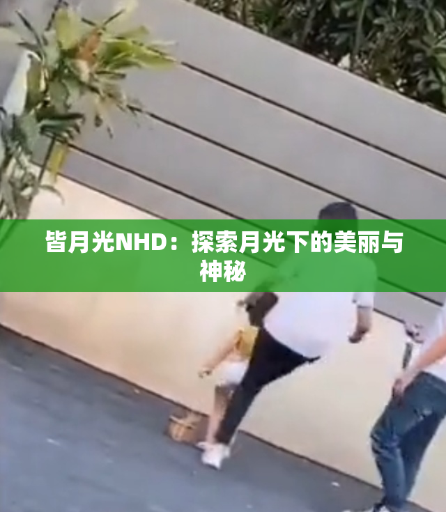 皆月光NHD：探索月光下的美丽与神秘