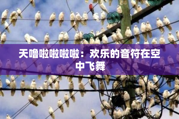 天噜啦啦啦啦：欢乐的音符在空中飞舞