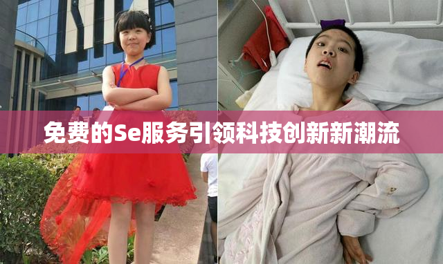 免费的Se服务引领科技创新新潮流