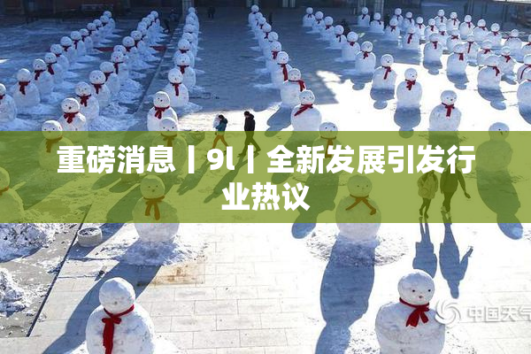 重磅消息丨9l丨全新发展引发行业热议