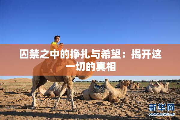 囚禁之中的挣扎与希望：揭开这一切的真相