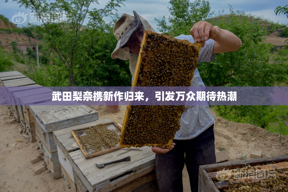 武田梨奈携新作归来，引发万众期待热潮