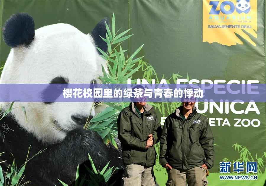 樱花校园里的绿茶与青春的悸动