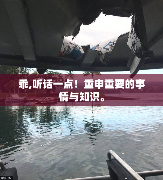 乖,听话一点！重申重要的事情与知识。