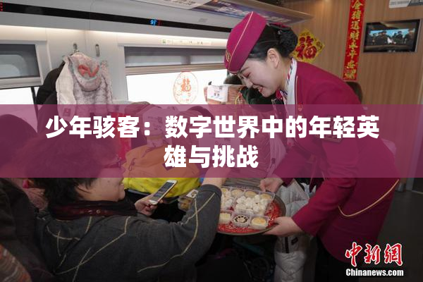 少年骇客：数字世界中的年轻英雄与挑战