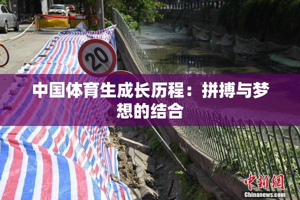 中国体育生成长历程：拼搏与梦想的结合