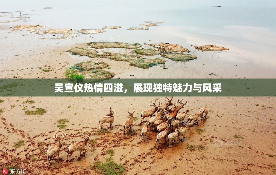 吴宣仪热情四溢，展现独特魅力与风采