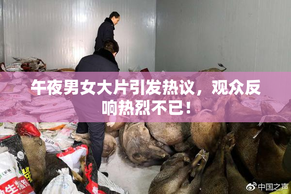 午夜男女大片引发热议，观众反响热烈不已！