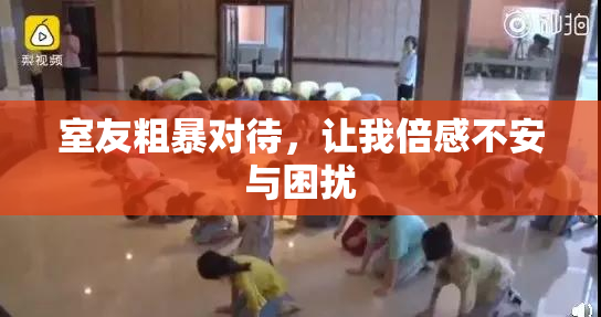 室友粗暴对待，让我倍感不安与困扰
