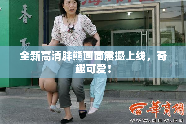 全新高清胖熊画面震撼上线，奇趣可爱！