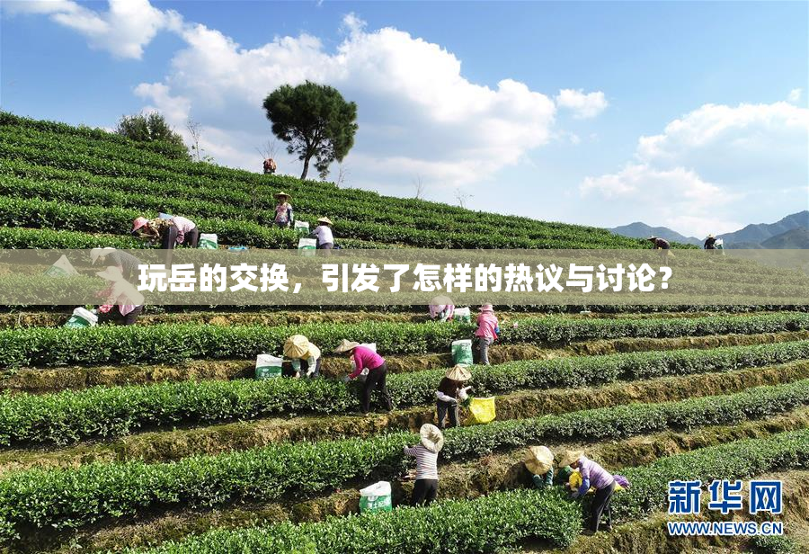 玩岳的交换，引发了怎样的热议与讨论？