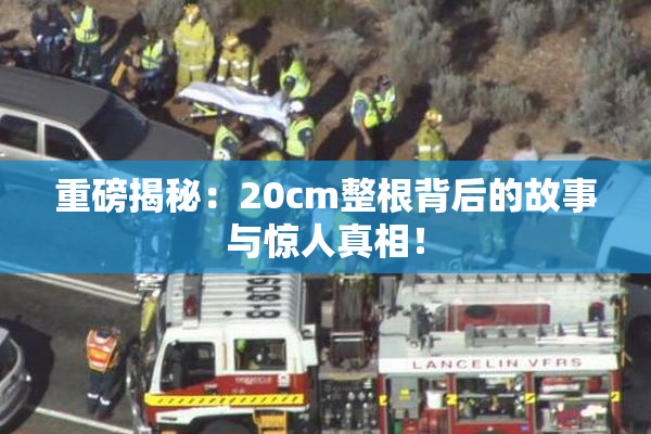 重磅揭秘：20cm整根背后的故事与惊人真相！