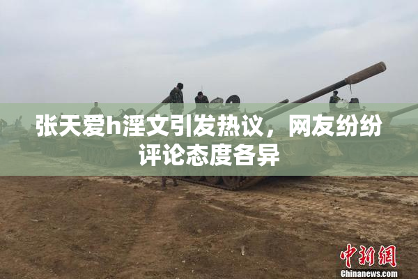 张天爱h淫文引发热议，网友纷纷评论态度各异