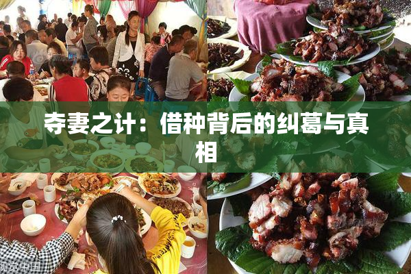 夺妻之计：借种背后的纠葛与真相