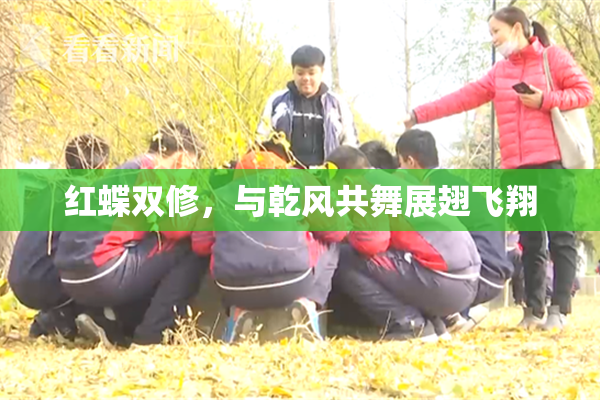 红蝶双修，与乾风共舞展翅飞翔