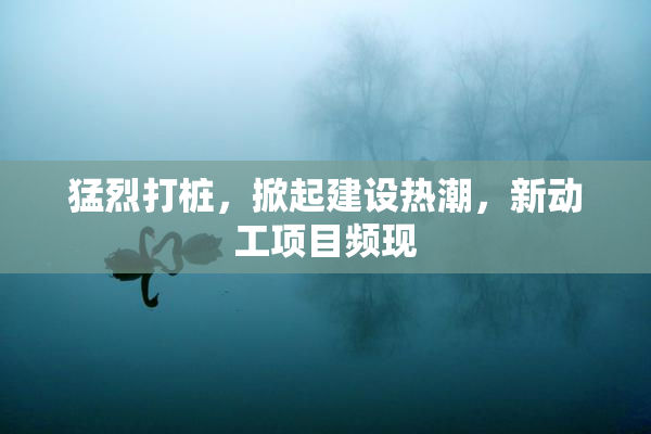 猛烈打桩，掀起建设热潮，新动工项目频现