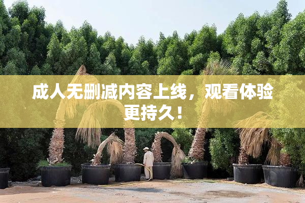 成人无删减内容上线，观看体验更持久！
