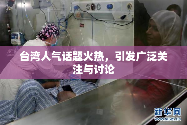 台湾人气话题火热，引发广泛关注与讨论