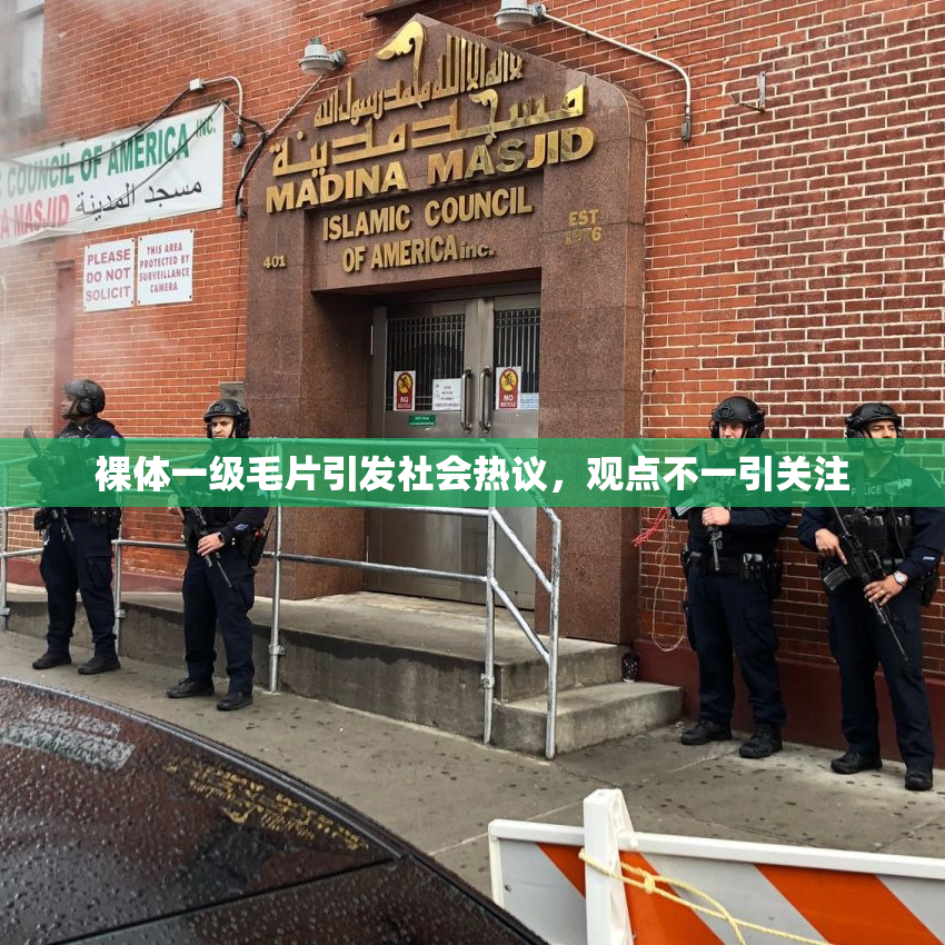裸体一级毛片引发社会热议，观点不一引关注