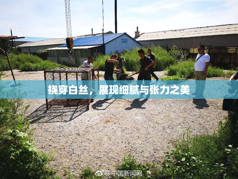 挠穿白丝，展现细腻与张力之美