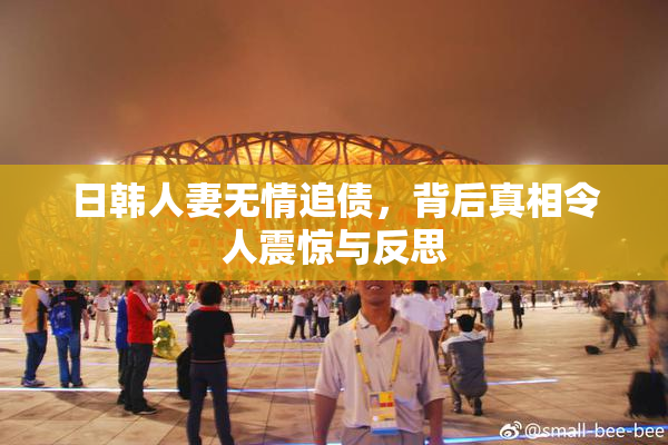 日韩人妻无情追债，背后真相令人震惊与反思
